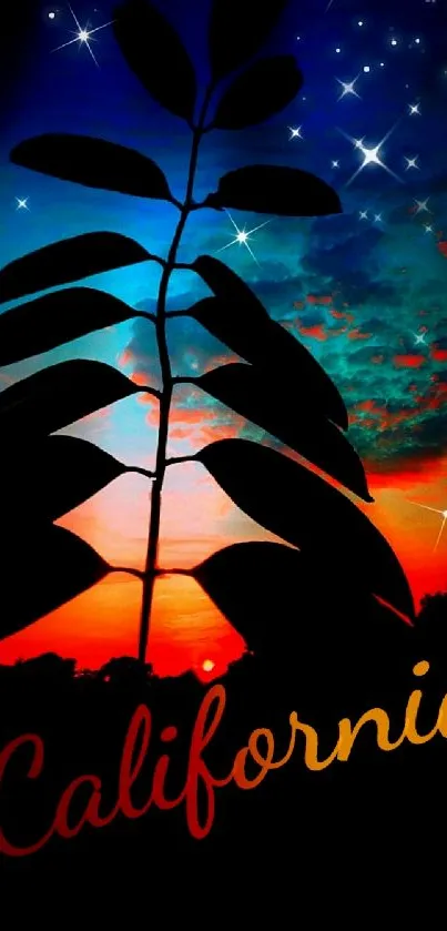 Silhouette of plant against a colorful California sunset sky.