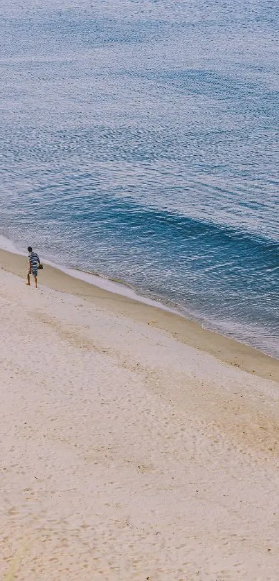 Serene beach scene with sandy shore and calm ocean waves.