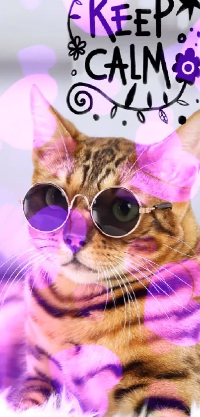 Cat wearing sunglasses with a keep calm message in purple tones.