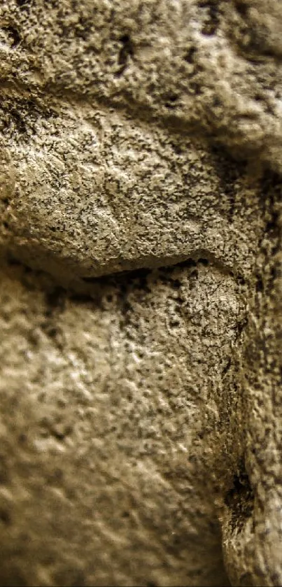 Close-up of a serene stone Buddha face in soft focus.