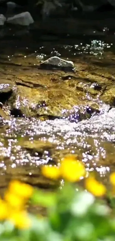 Calm stream with rocks and vibrant yellow flowers in a lush green setting.