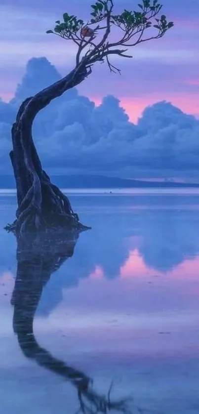 Lone tree reflected in water at sunset with purple sky.