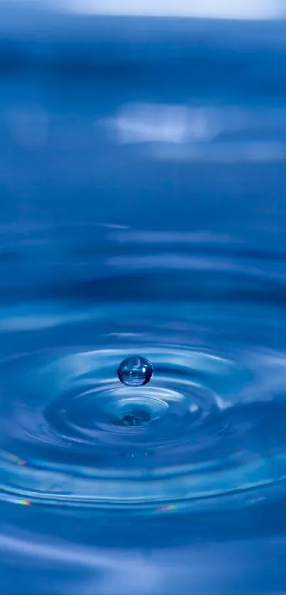 A tranquil blue water drop creates ripples in this calming mobile wallpaper.