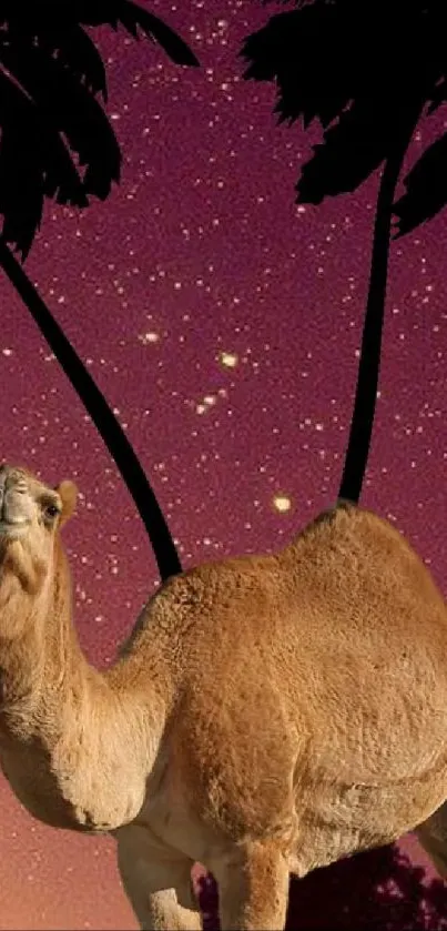 Camel and palm trees under a starry sky on a deep pink background.