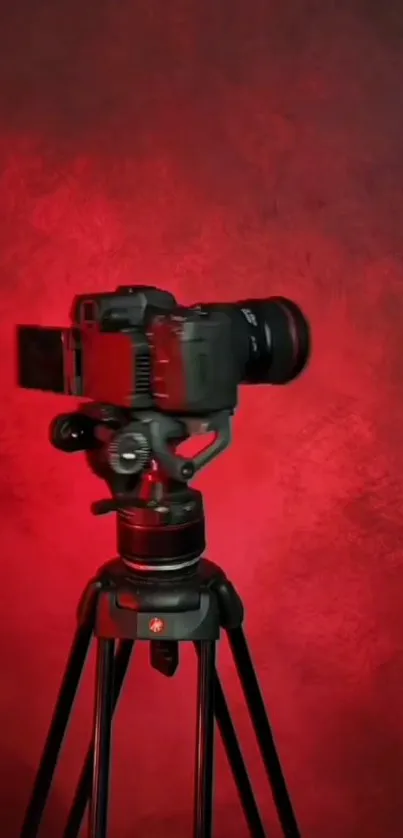 Professional camera on tripod against a vivid red background, creating a striking image.