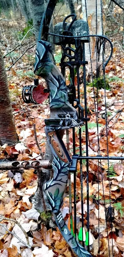 Camouflage compound bow in autumn forest.