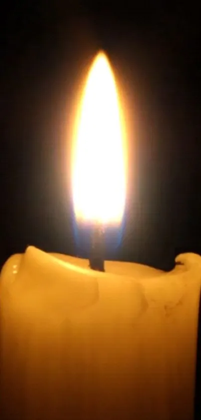 Warm glow of a candle flame in the dark.