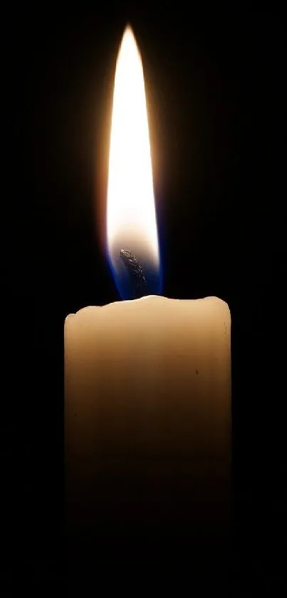 Elegant candle flame against a dark background.