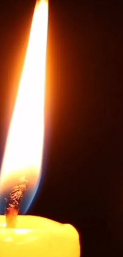 Close-up of a glowing candle flame on a dark background.