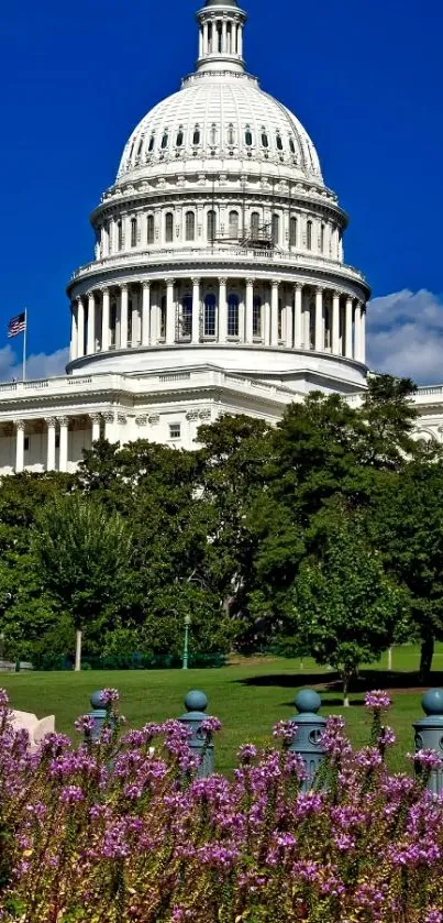 Capitol Building under a vibrant blue sky with flowers.