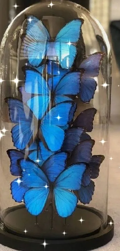 Blue butterflies elegantly displayed under a glass dome.