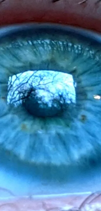 Close-up of a blue eye with nature reflection.