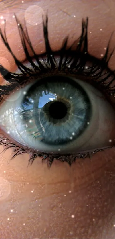 Close-up of a captivating blue eye with detailed lashes.