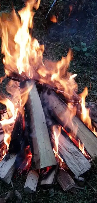 Vibrant campfire flames on stacked logs, perfect for a cozy mobile wallpaper.