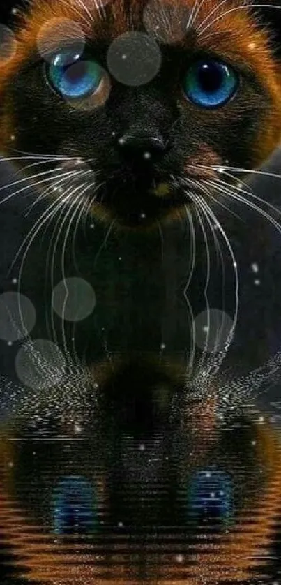 Brown cat with blue eyes reflecting in water on mobile wallpaper.