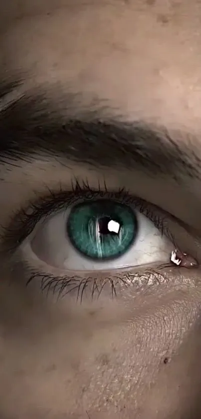 Close-up of a captivating turquoise eye with detailed iris and sharp focus.