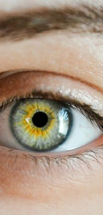 Close-up of a captivating human eye with a striking yellow and green iris.