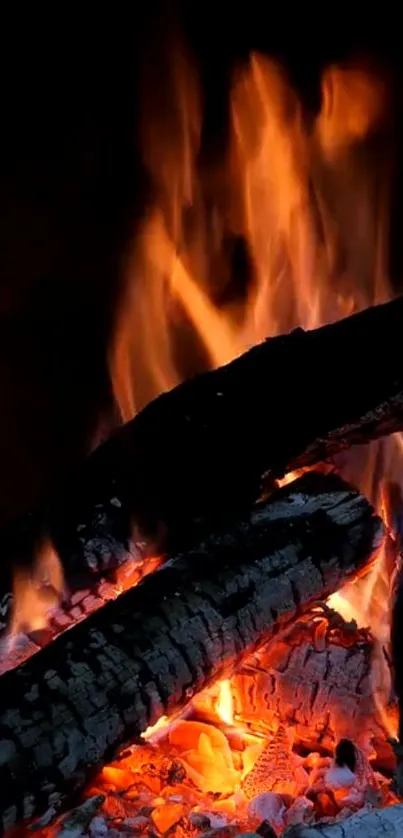 Vibrant firewood flames creating a warm, glowing ambiance on a dark background.