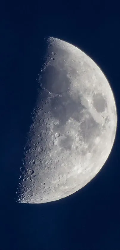 Half moon shining in dark blue night sky.