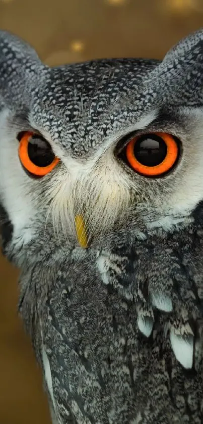 Owl with orange eyes on a brown background for phone wallpaper.