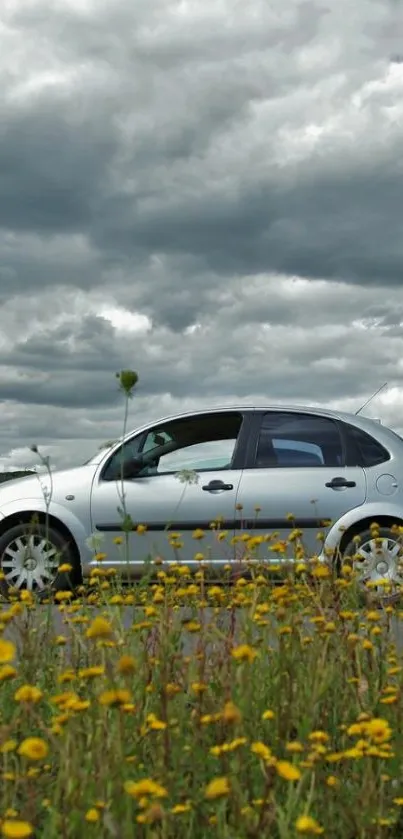 Silver car in field with yellow flowers and cloudy sky.