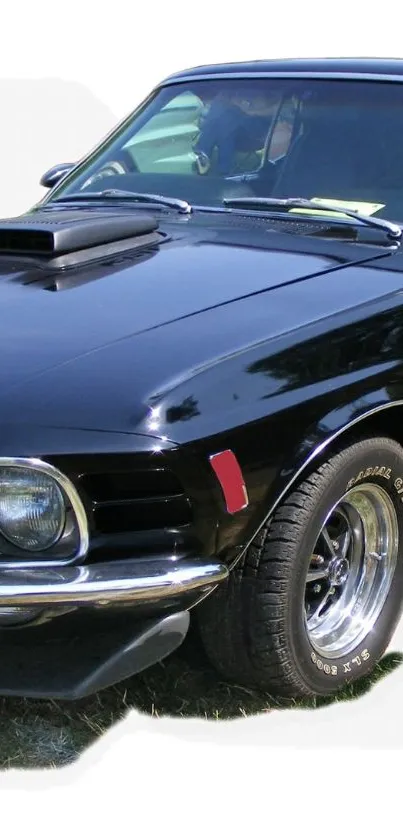 Car Land Vehicle Vehicle Live Wallpaper