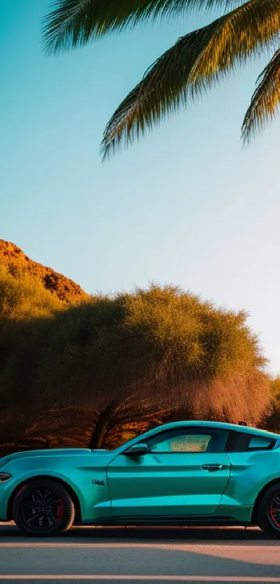 Palm tree to ford mustang  Live Wallpaper