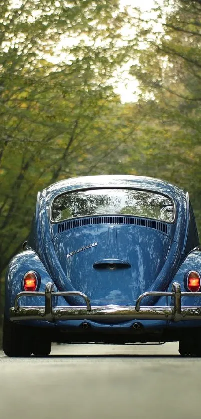 Car Vehicle Wheel Live Wallpaper