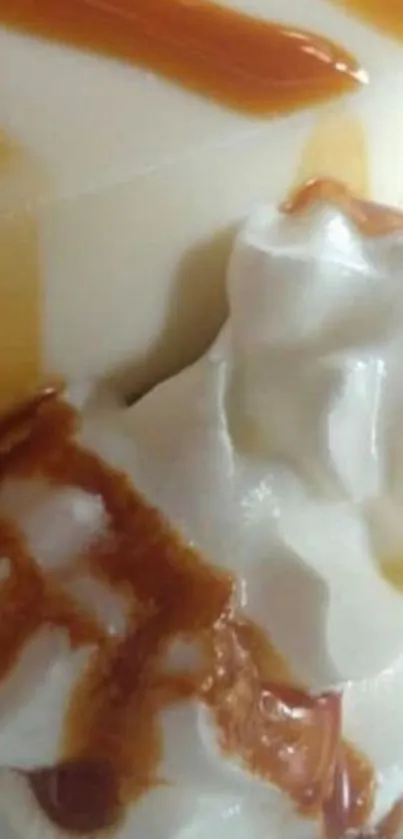 Closeup of caramel pudding with whipped cream.