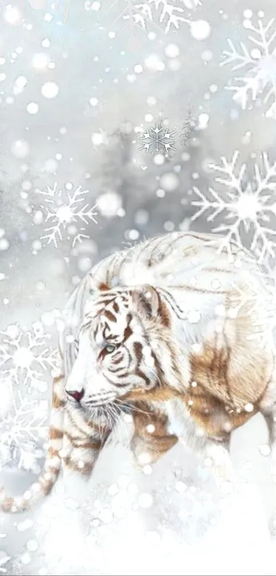 Carnivore Felidae Whiskers Live Wallpaper