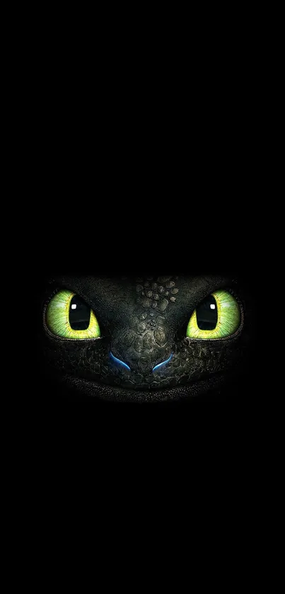 Carnivore Snout Felidae Live Wallpaper