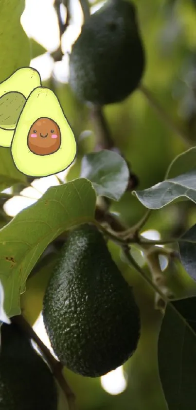 Cartoon avocado and avocados hanging on tree branches.