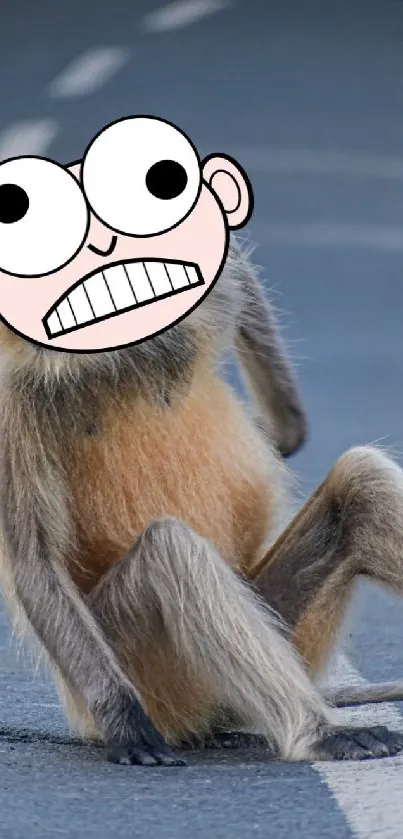 Cartoon-faced monkey sitting on a road, blending nature with humor.