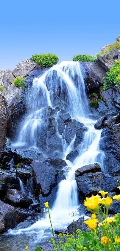 waterfall with rocks and flowers in nature