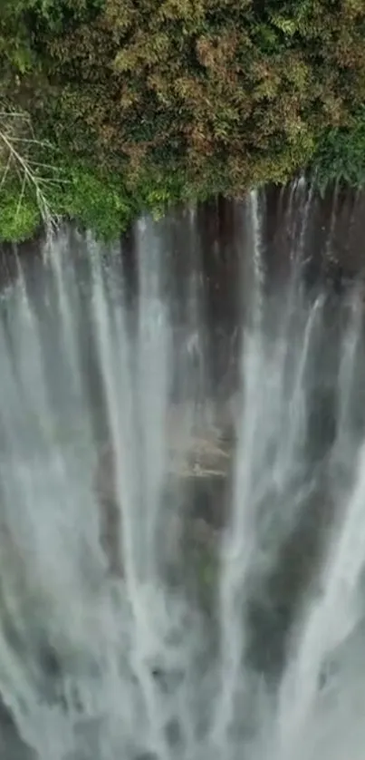 Aerial view of a cascading waterfall in a lush green forest.