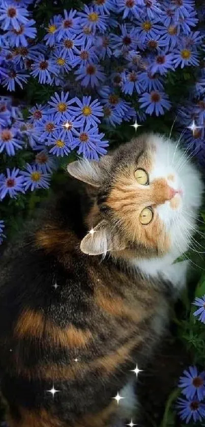 Cat surrounded by vibrant purple flowers, gazing upwards.