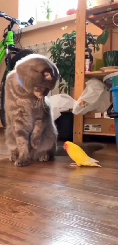 Cat and bird in a cozy room setting with wooden floors and plants.