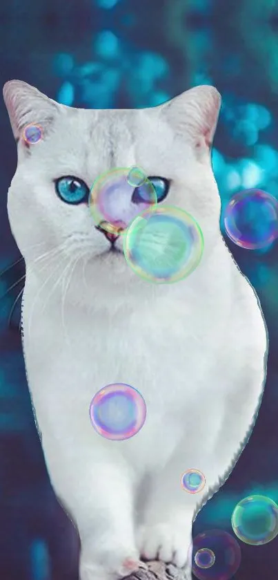 White cat with blue eyes and bubbles on a teal background.