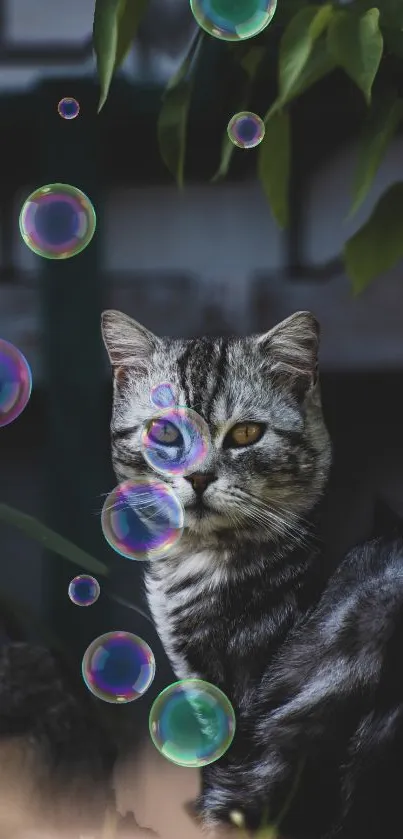 Playful cat surrounded by colorful bubbles in a natural setting.