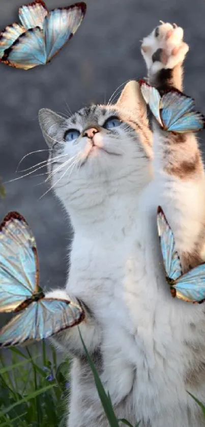 Playful cat with blue butterflies in nature.