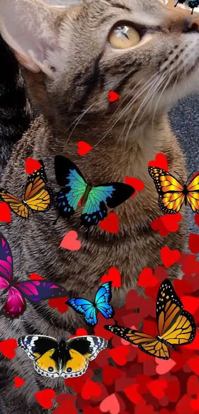 Cat with butterflies and hearts wallpaper.