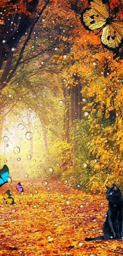 Autumn forest with cat and butterflies on a picturesque path.