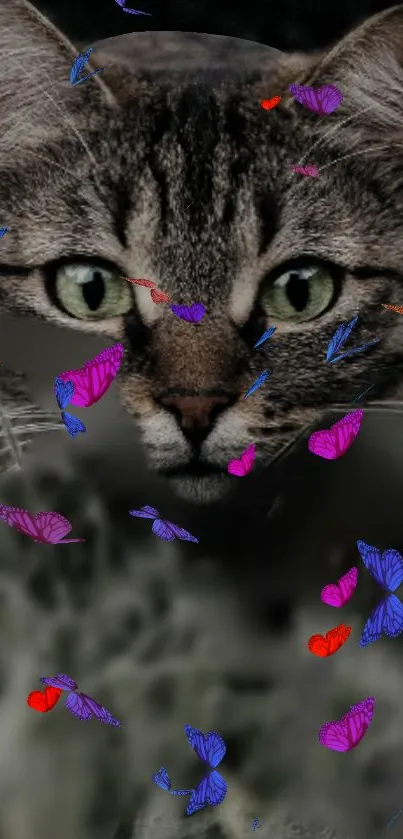 Cat surrounded by colorful butterflies on a gray background.