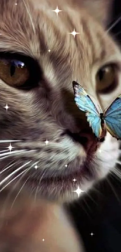 Cat with blue butterfly on nose in artistic wallpaper.