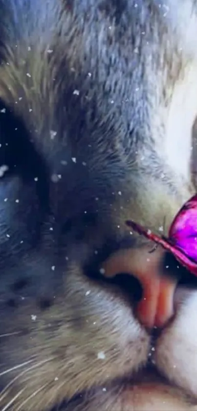 Fantasy snowy scene with cat and pink butterfly on its nose.