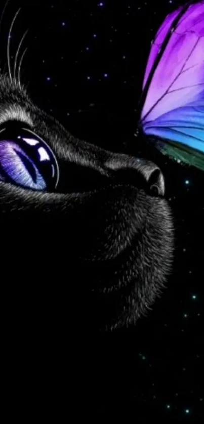 Black cat gazing at vibrant butterfly with starry night backdrop.