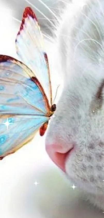 Cat and butterfly peaceful interaction wallpaper.