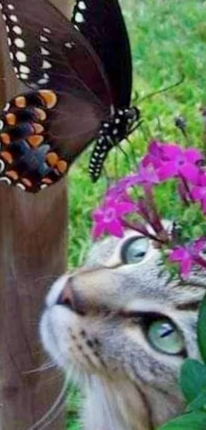 Cat gazing at butterfly amid flowers in nature.