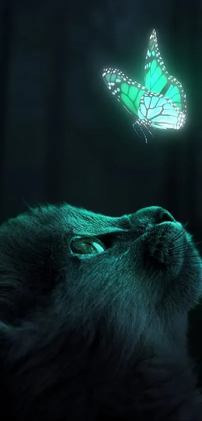 Cat looking at a glowing teal butterfly in a dark forest.