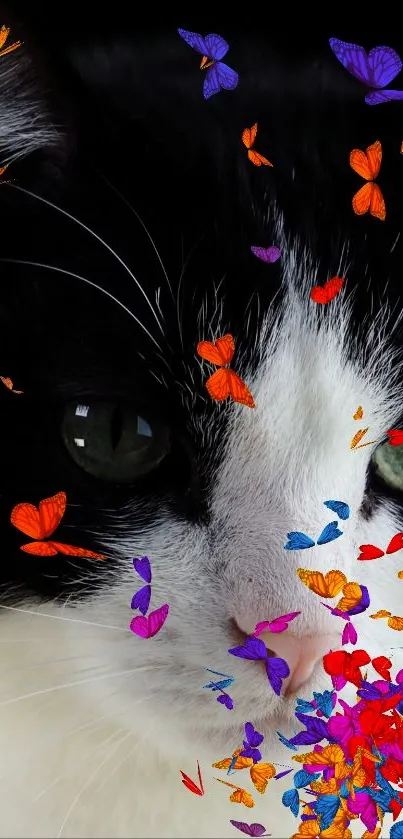 Black and white cat with vibrant butterflies on face.